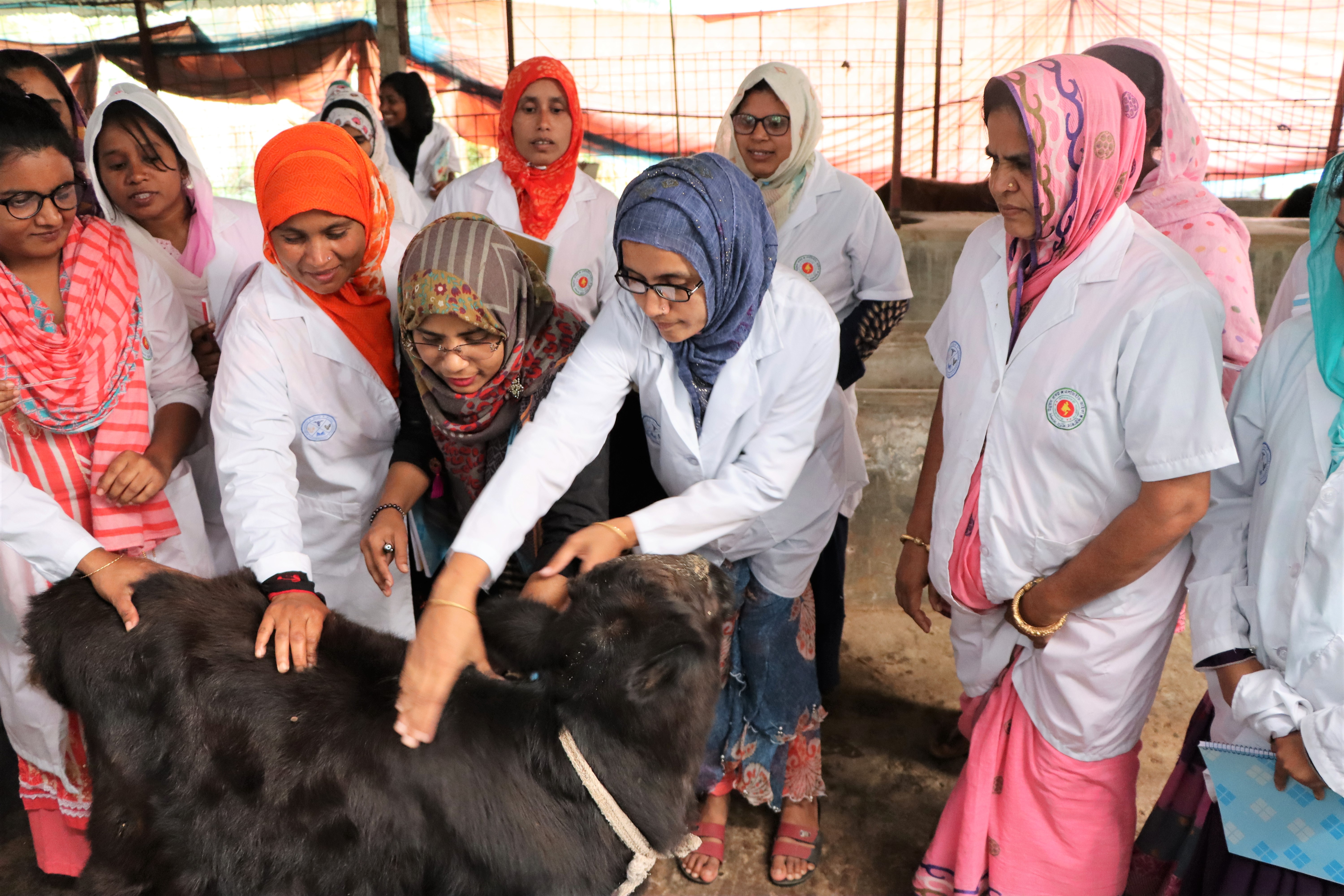 Female Livestock Assistant Training