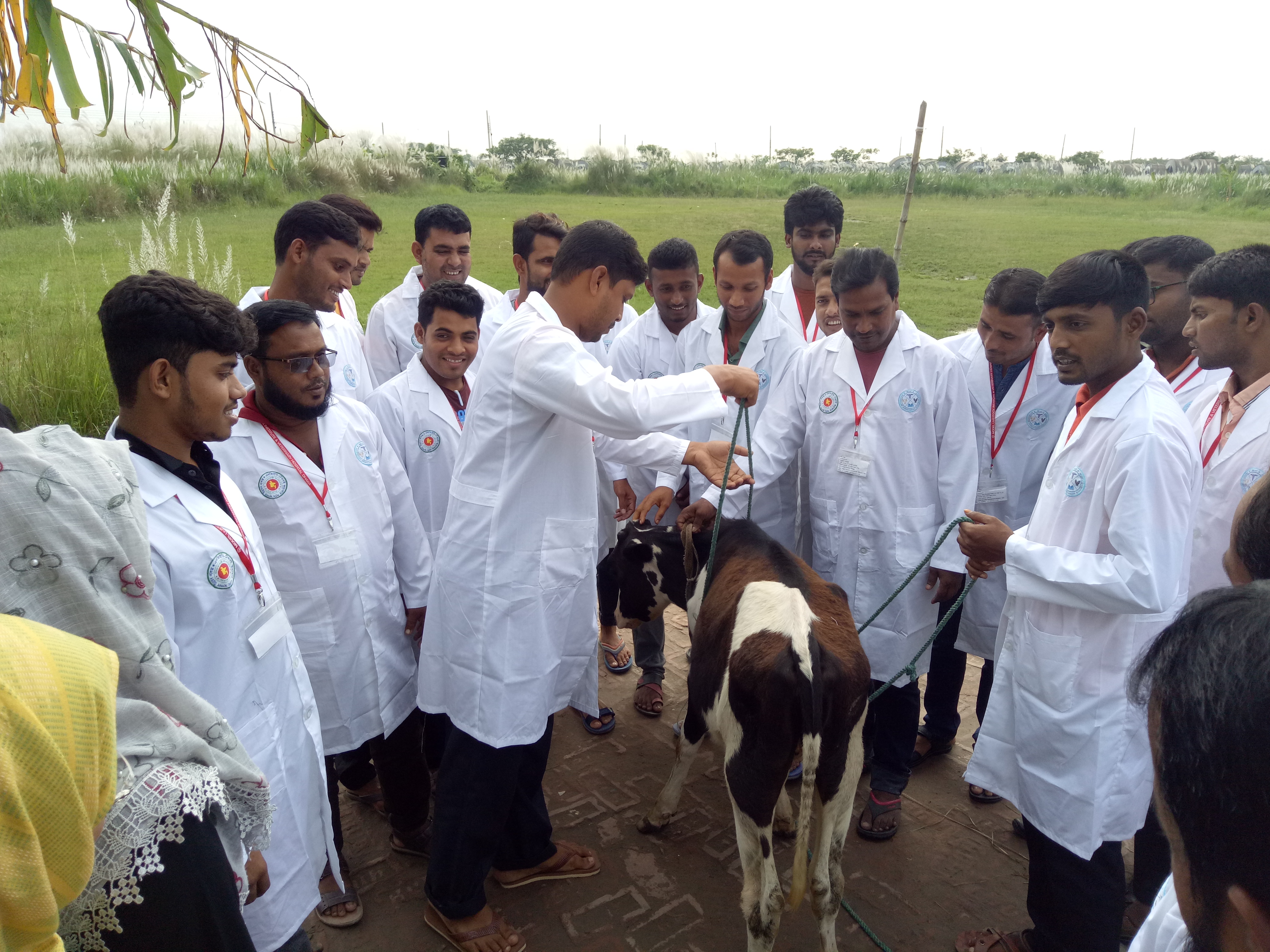 Male Livestock Assistant Training