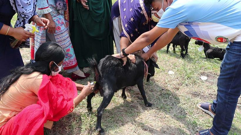 Training of Women in Goat Health and Management