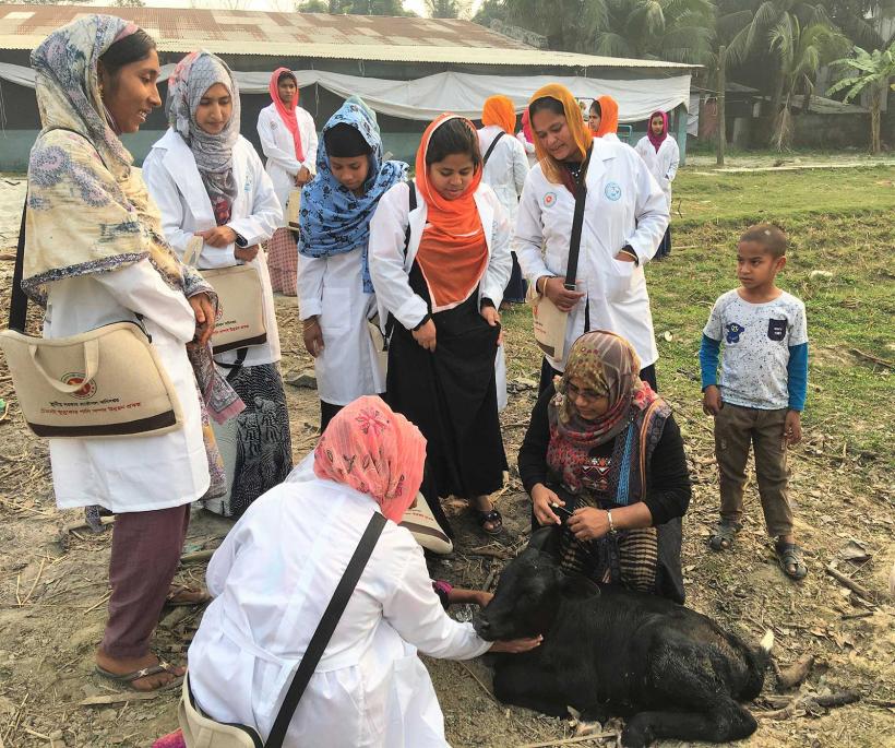 Female Livestock Assistant Training